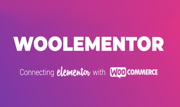 woolementor-pro