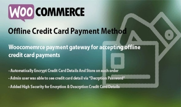 Offline-Credit-Card